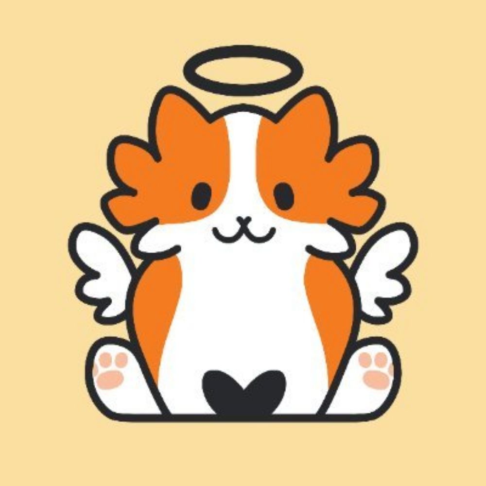 🐱 Okaeri Studios 🐱