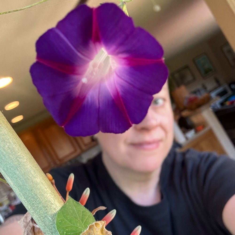 Erin