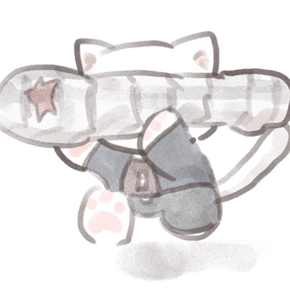 коткам✩*