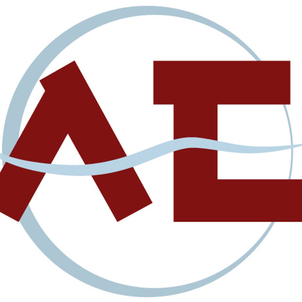 Amigos de la Egiptología- AE