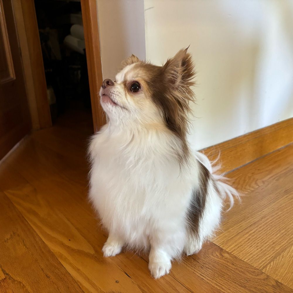 七瀬