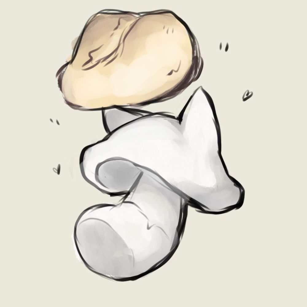 菌糸類