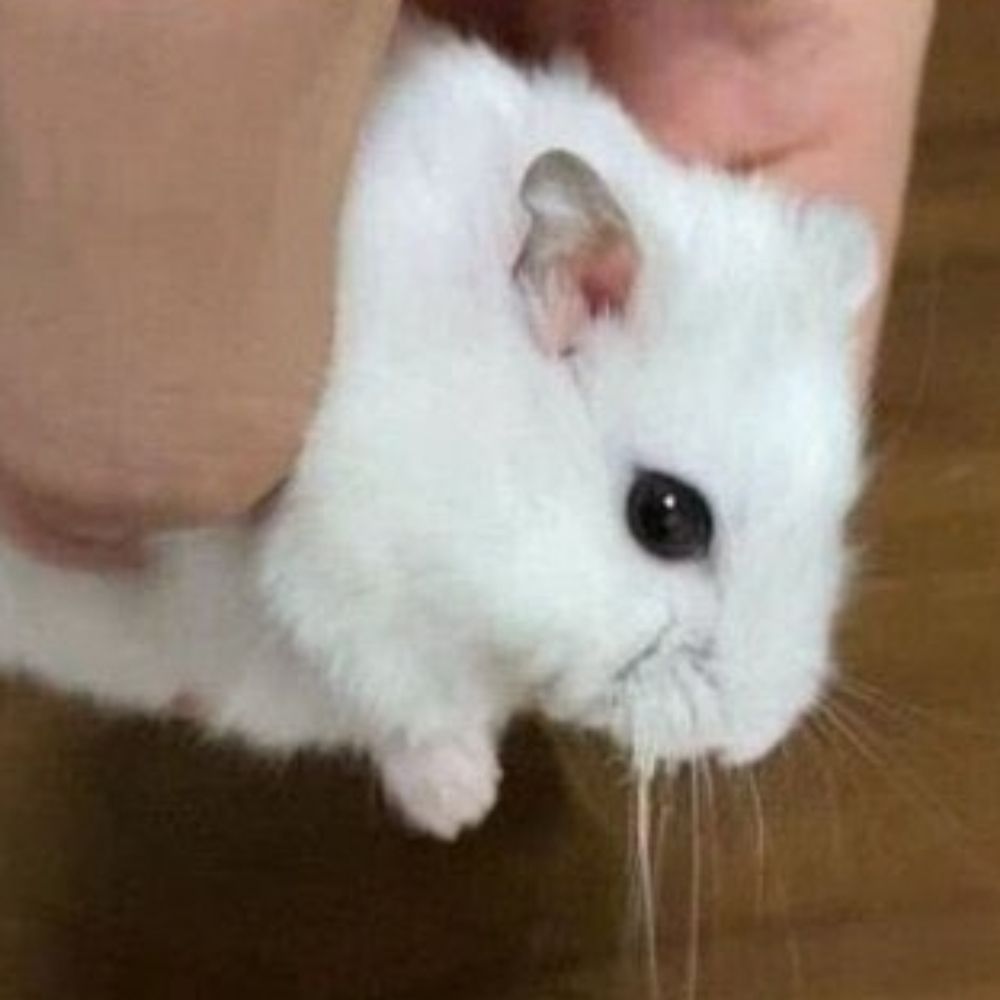 장벅