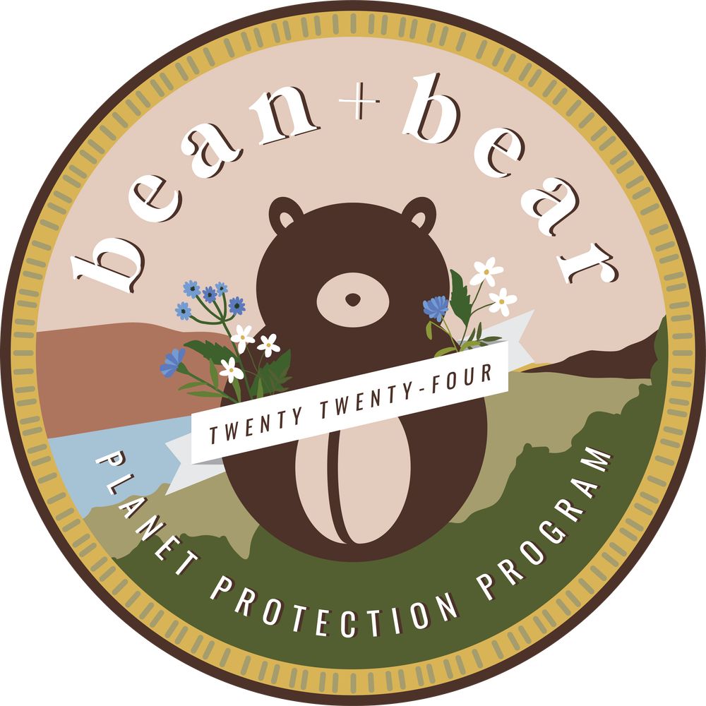 Bean and Bear Studio