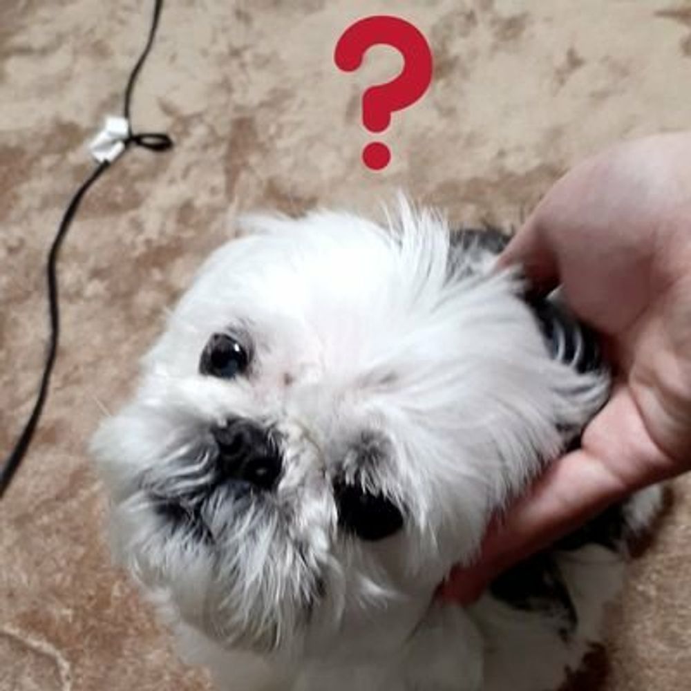 ケモナー消ッサン