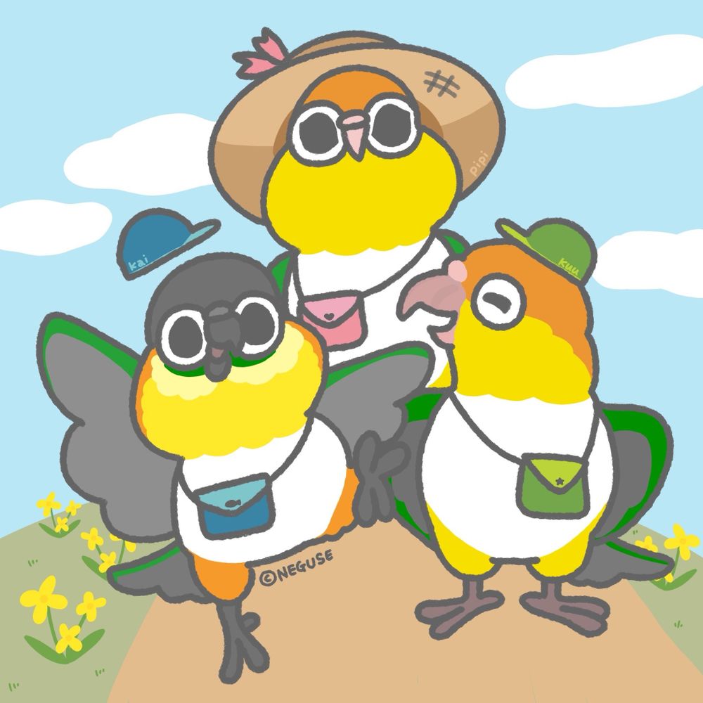 まる茶♪