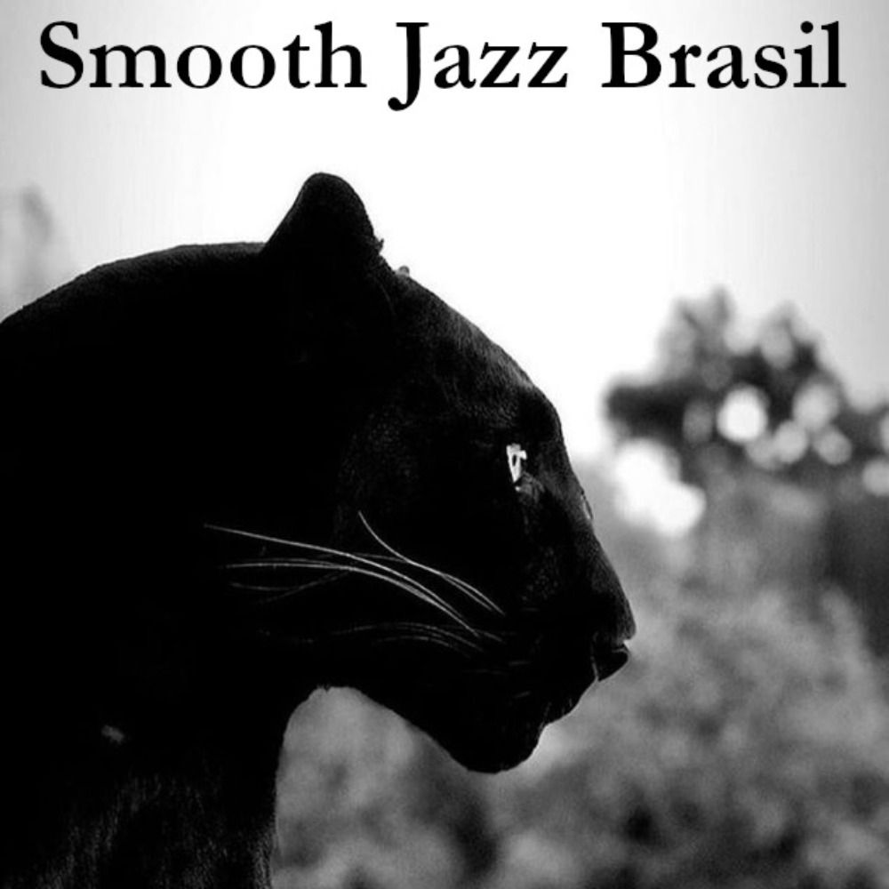 Radio Smooth Jazz Brasil