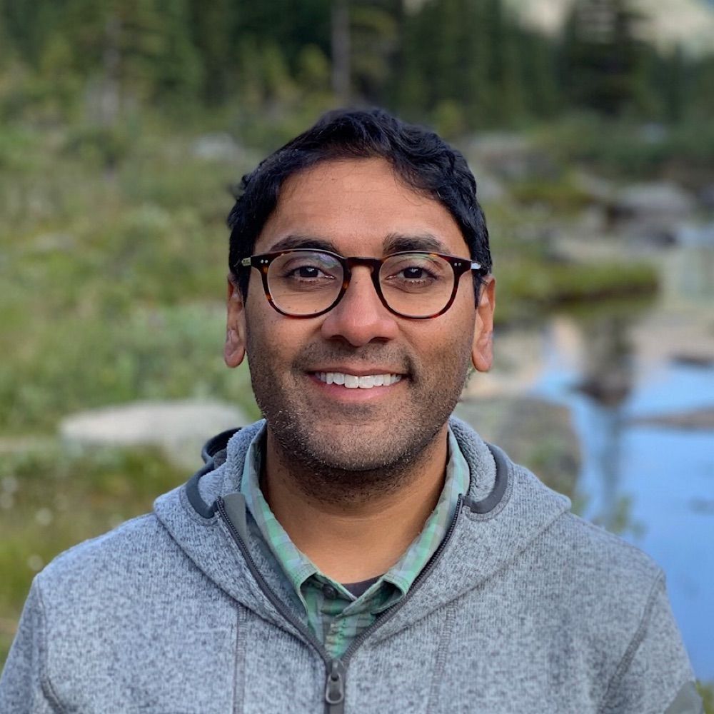 Anil Panigrahi
