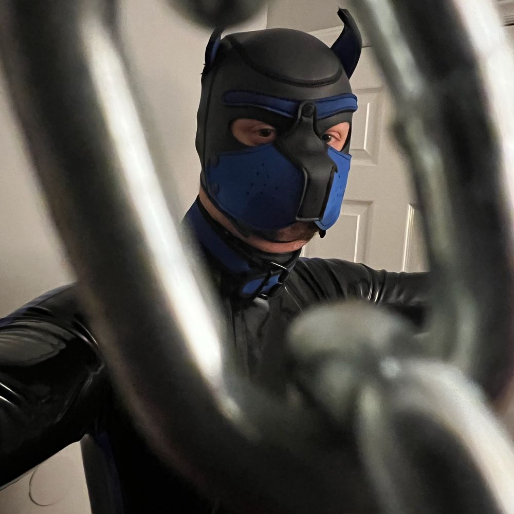 Aka Pup Jay
