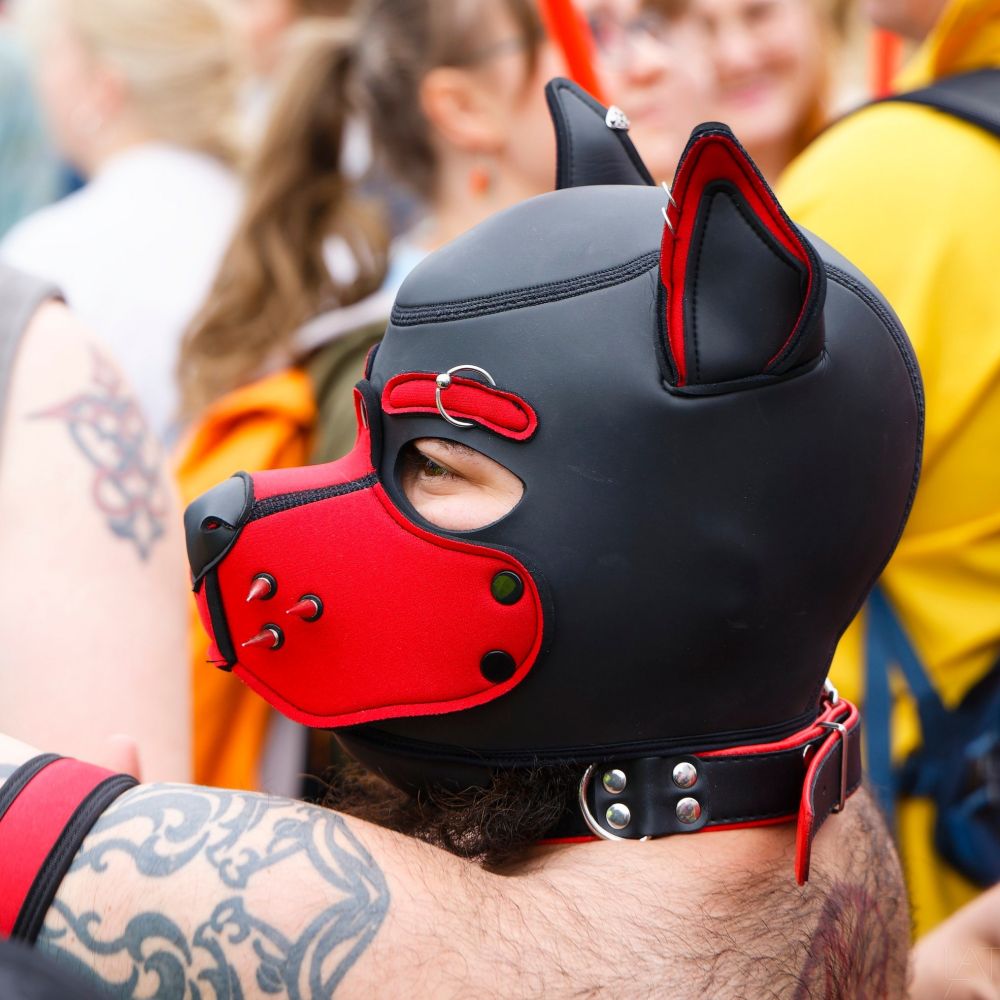 Pup Eldo🏳️‍⚧️ he/him
