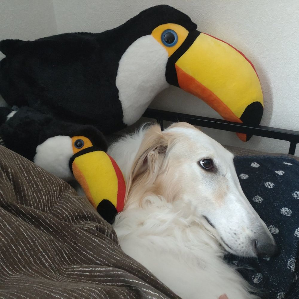 SnowiestAngeman