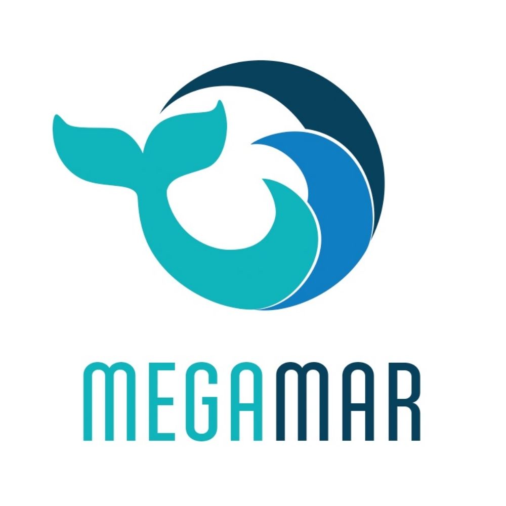 Marine Megafauna Research Group