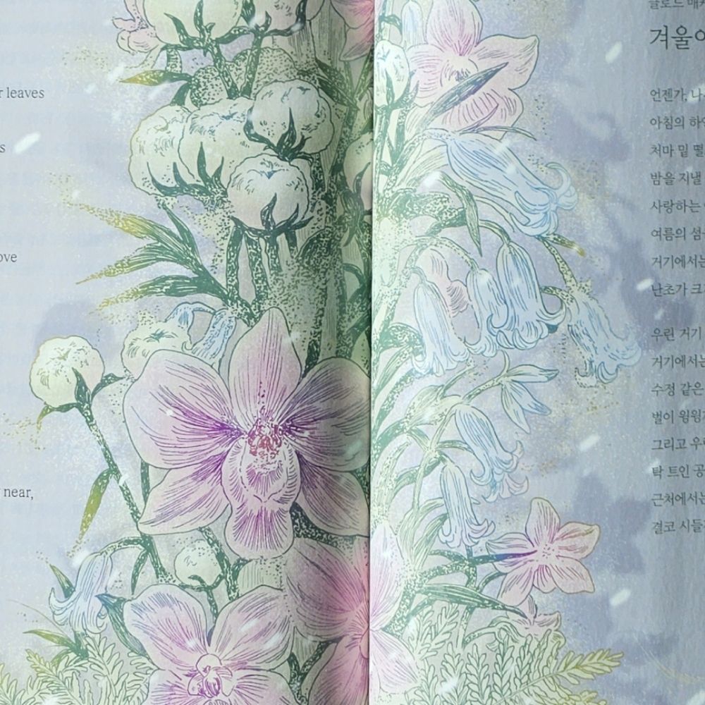 하늘의별사탕따기