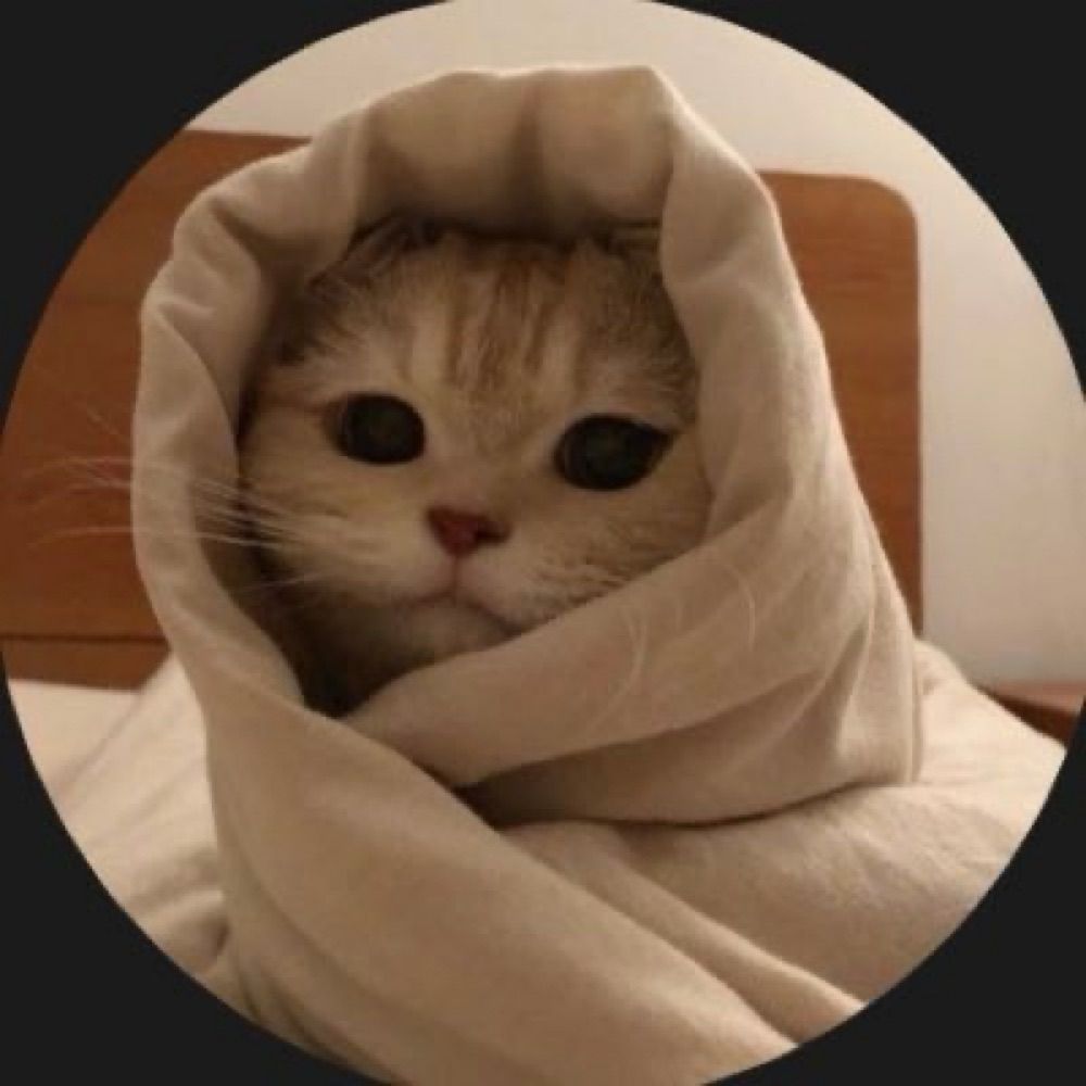 Why You Should Have A Cat