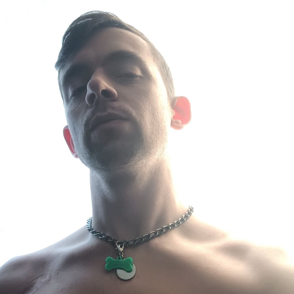 PupCobalt