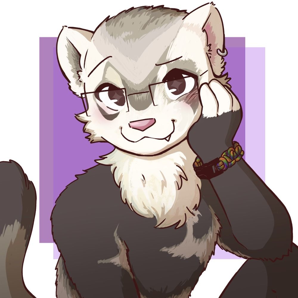 FizziFerret