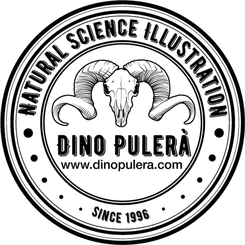 Dino Pulerà