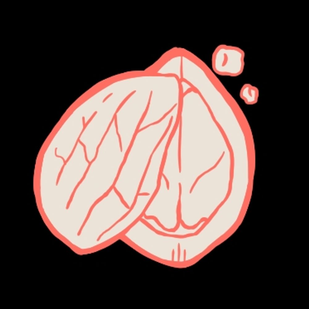 kurumisinario.bsky.social