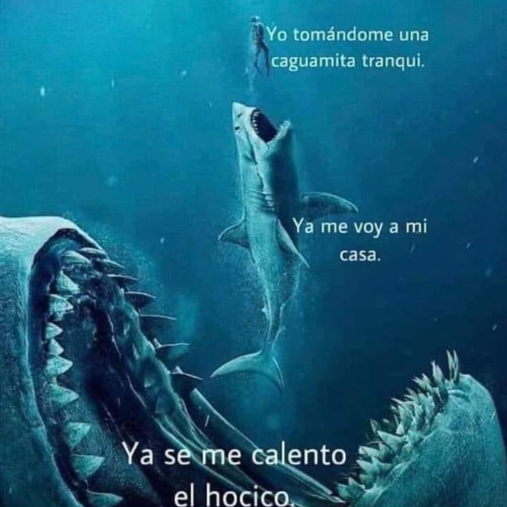 Pattito Leer W