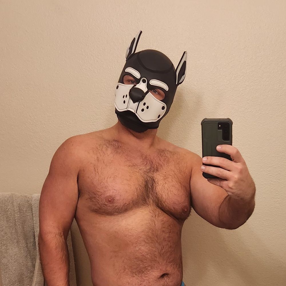 Pup Cobalt