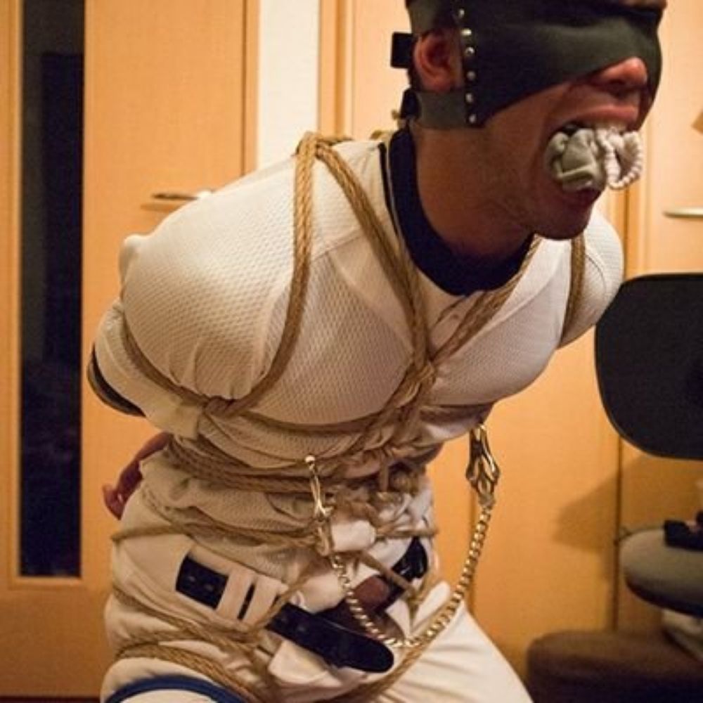 贱狗回收