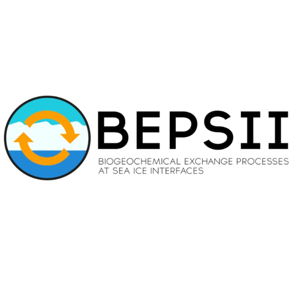 BEPSII