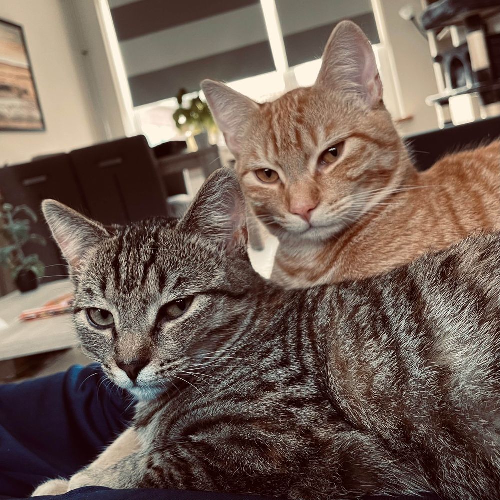 Toby & Phoebe