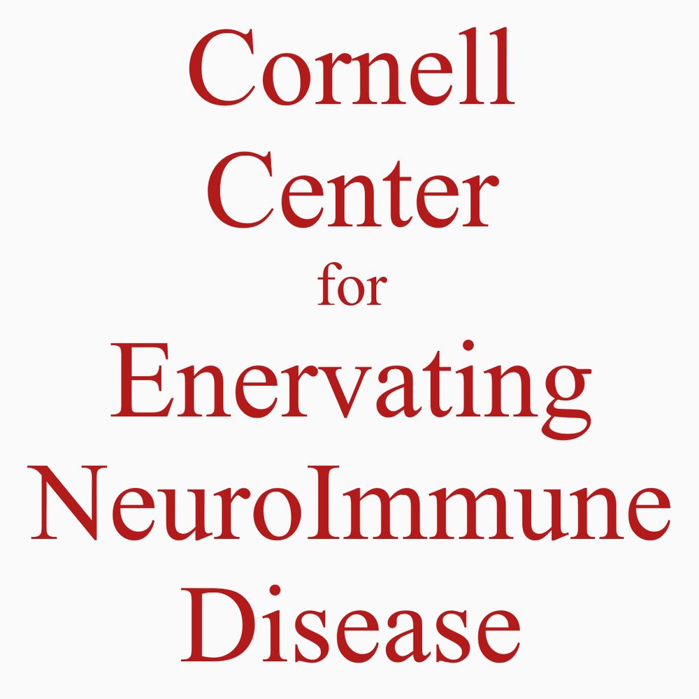 Cornell Center for Enervating Neuroimmune Disease