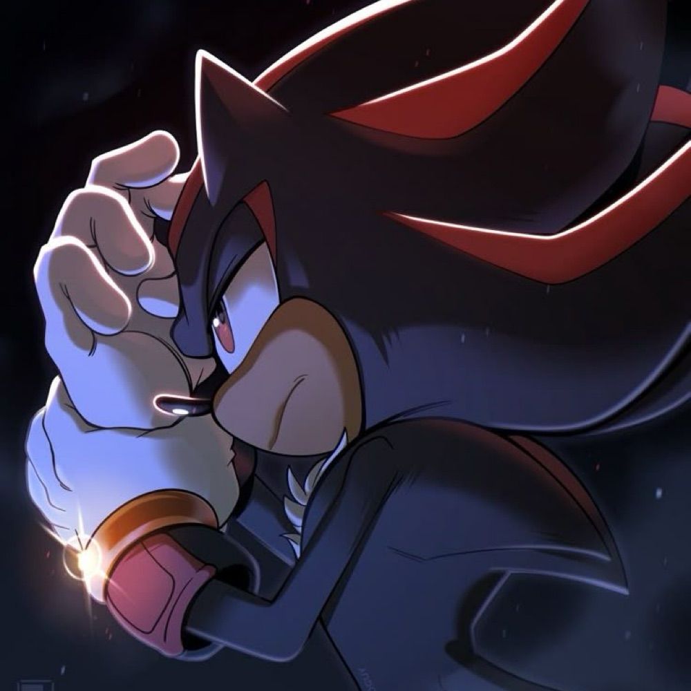 Shadow the hedgehog