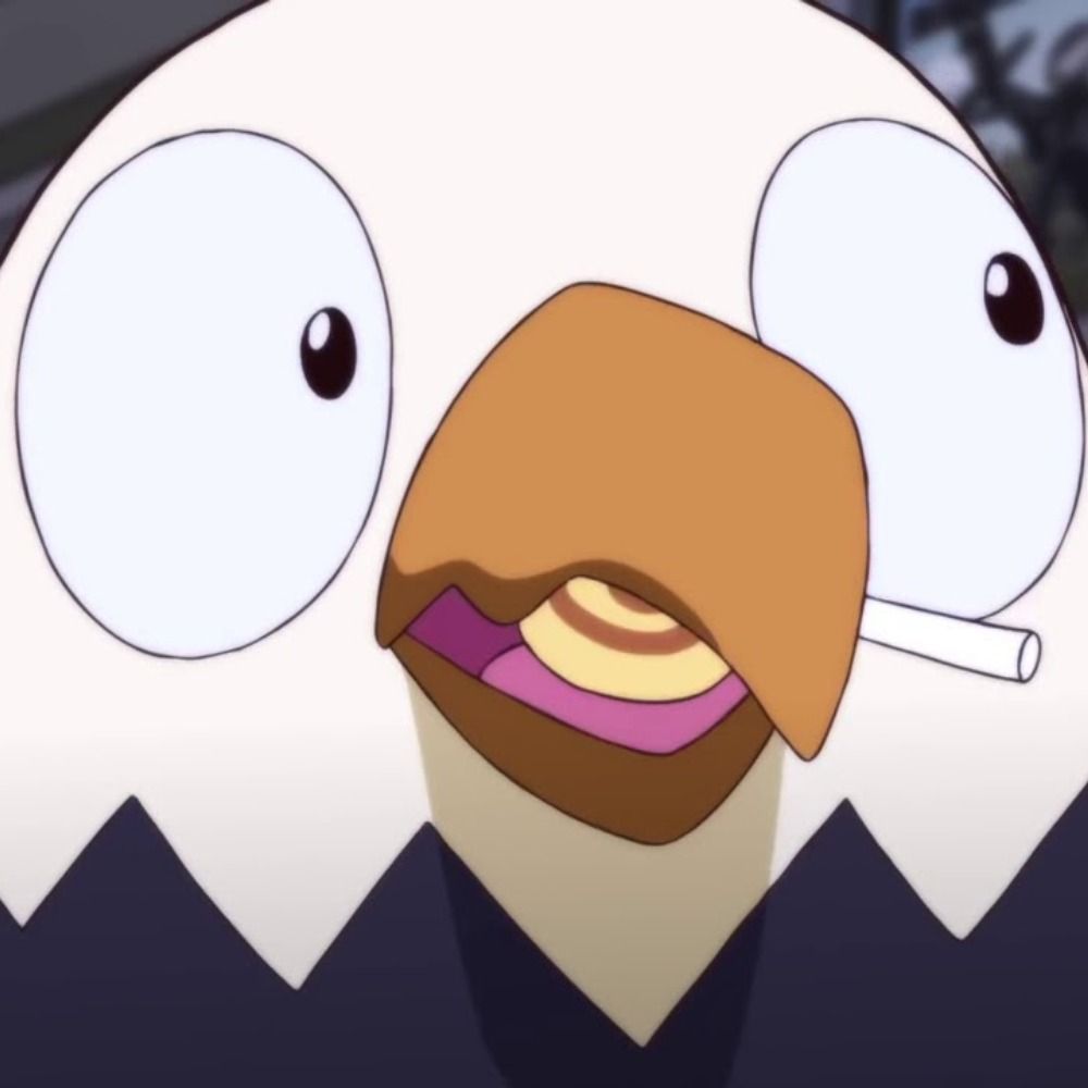 lucasthedumbguy