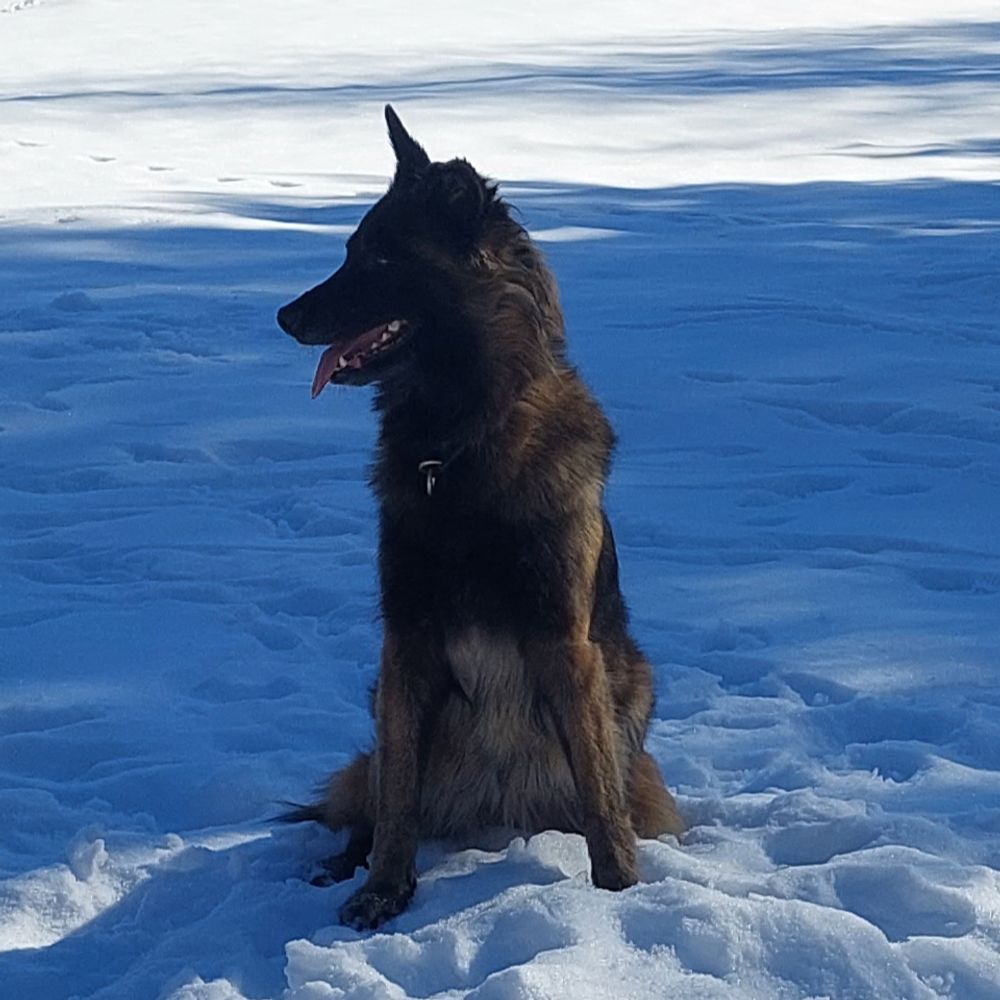 Fredrik 