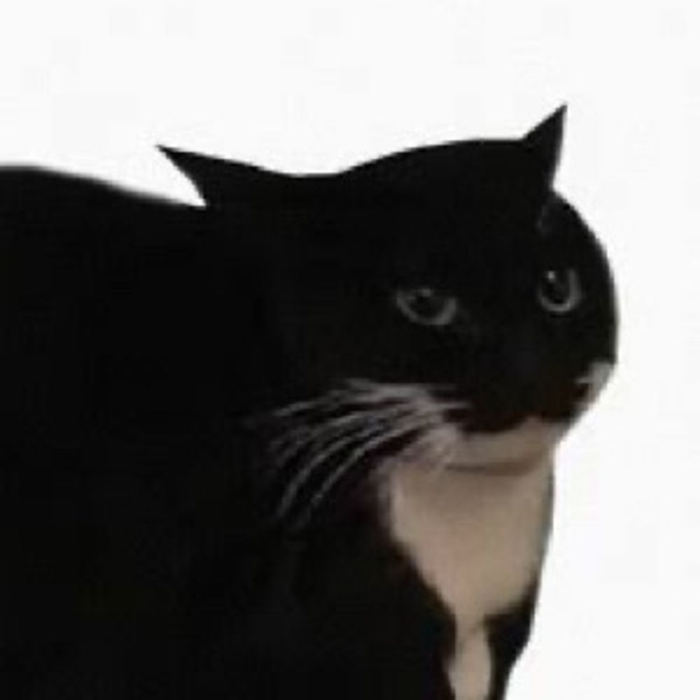 ⊂(  ᴖ ̫ᴖ)⊃