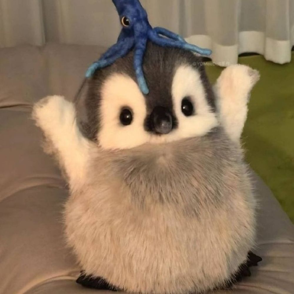 Scawid