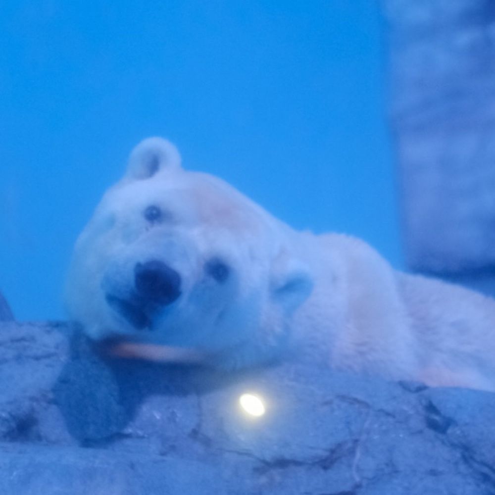 さとーさん