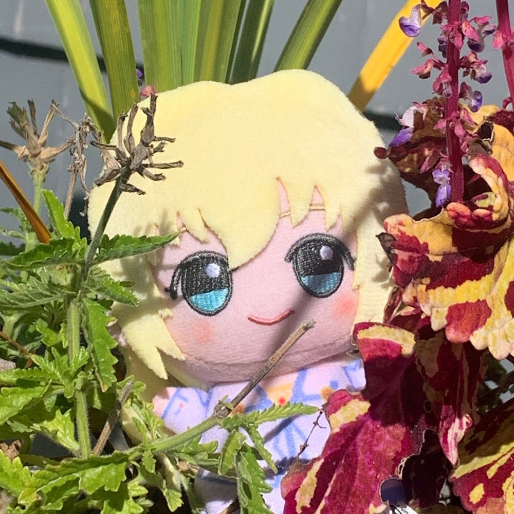 🍀 Melly! 💫