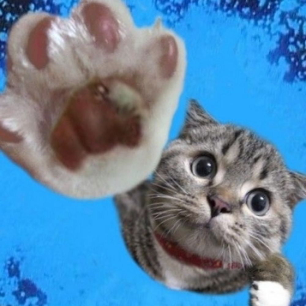 ゼン
