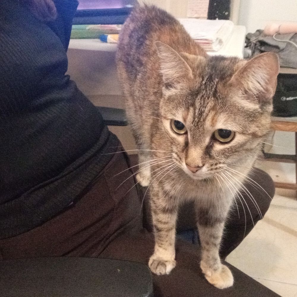 Pamela 