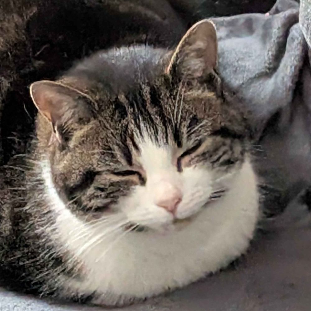 Lewis