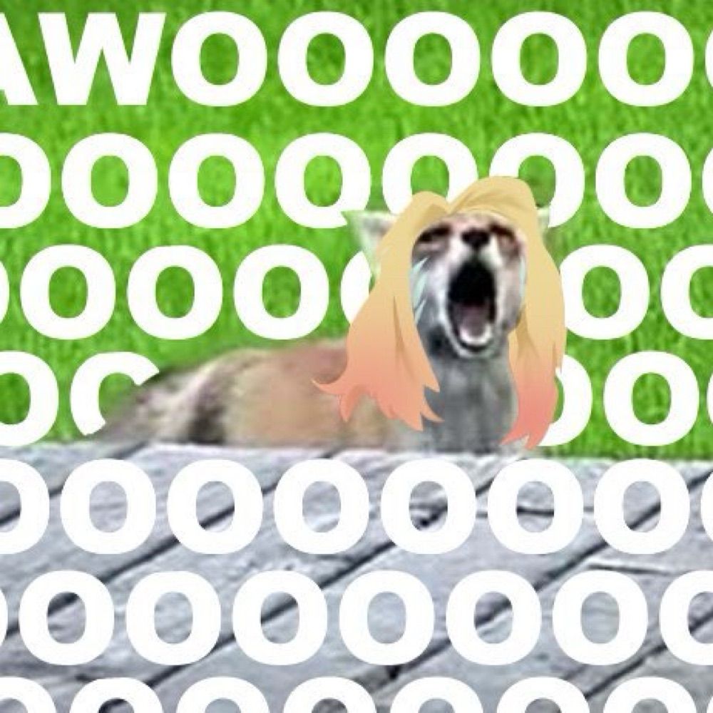 🦊 