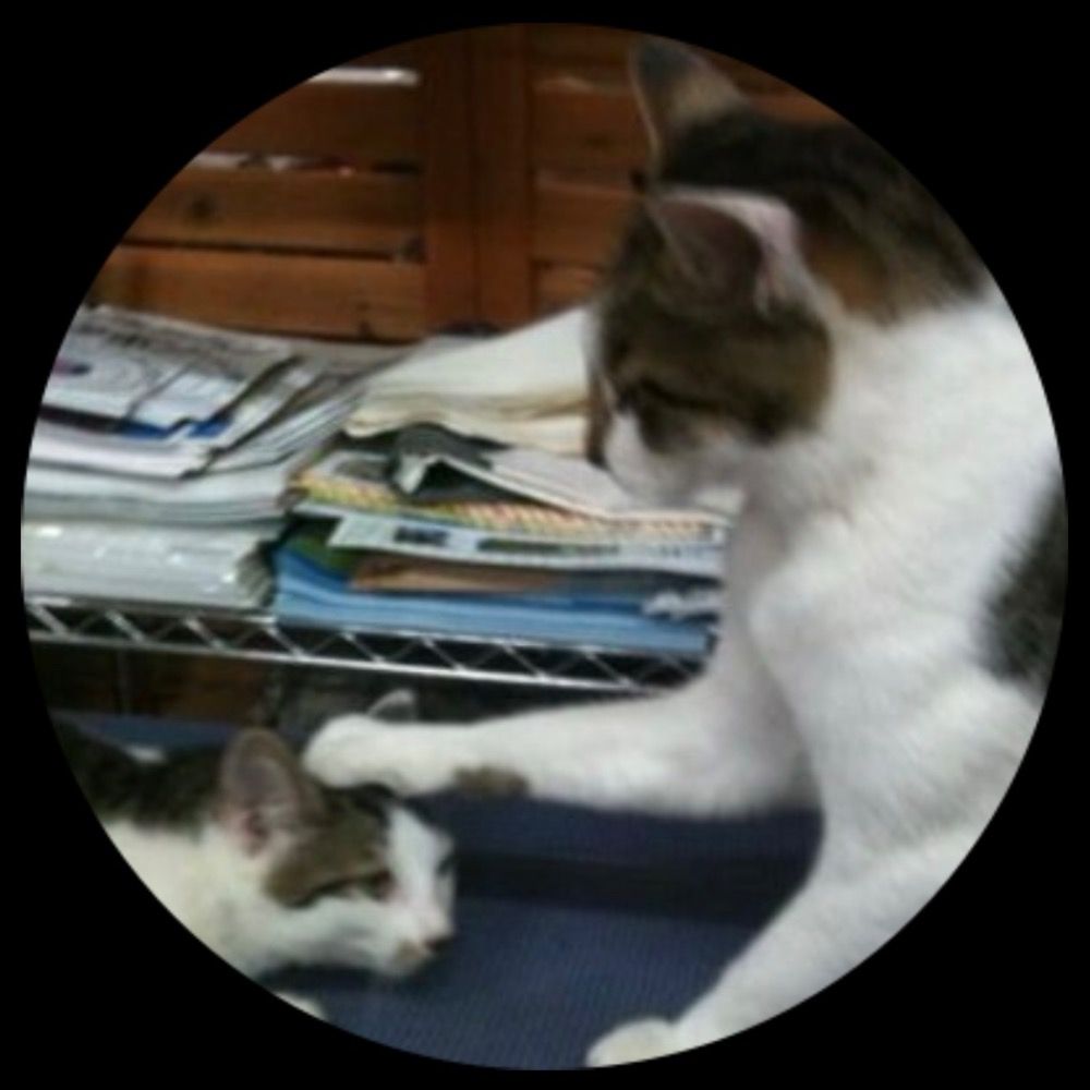 きゃんでぃろっく