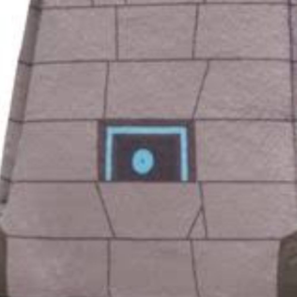 ｲﾙ