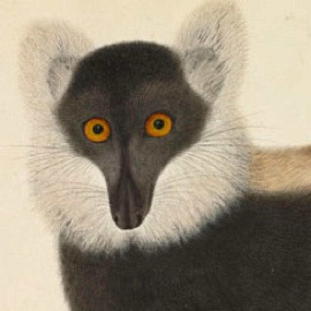 Leonid Furr