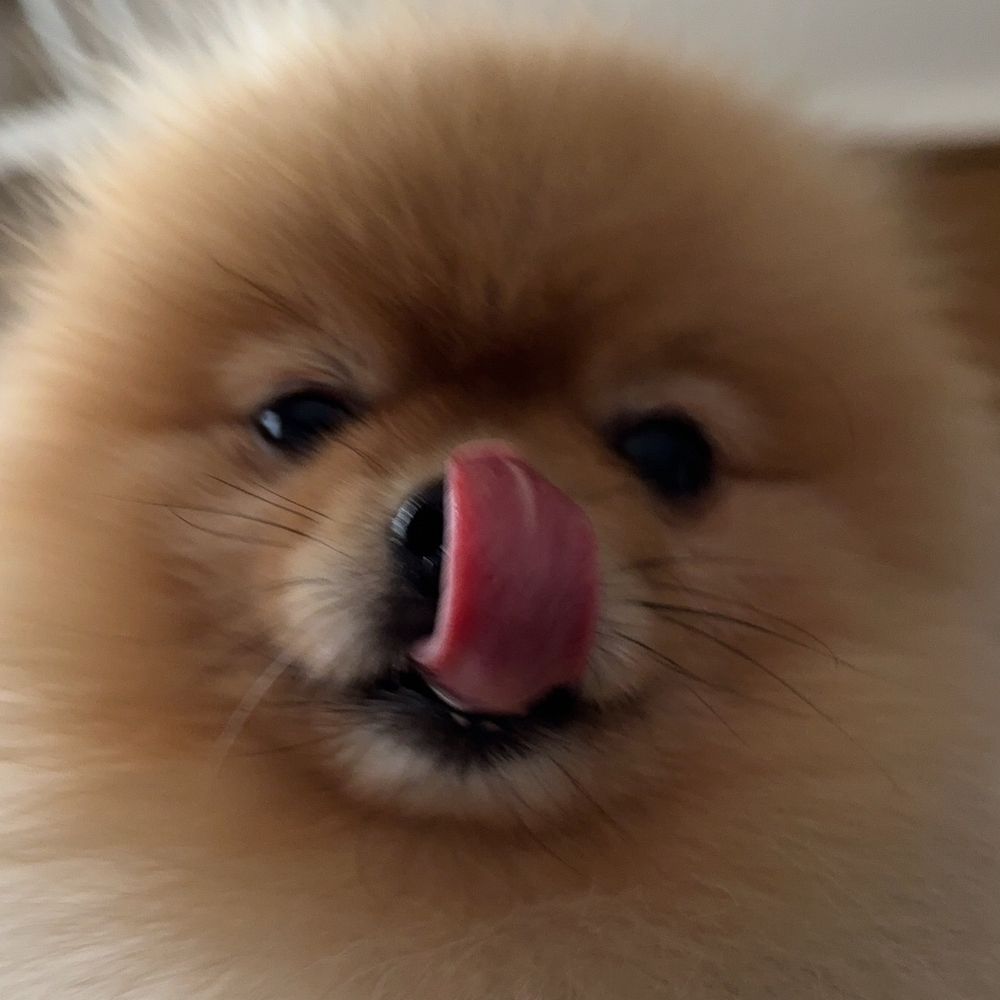 ぱりんこ