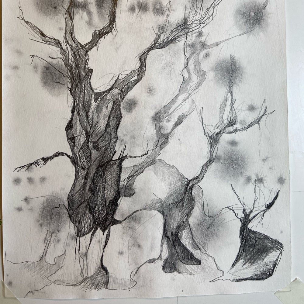 Jeanette Land Schou