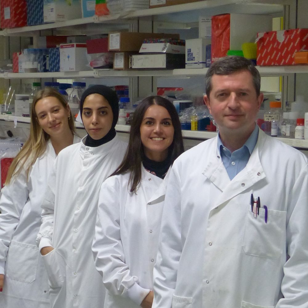 Birdsey Lab at Imperial College London