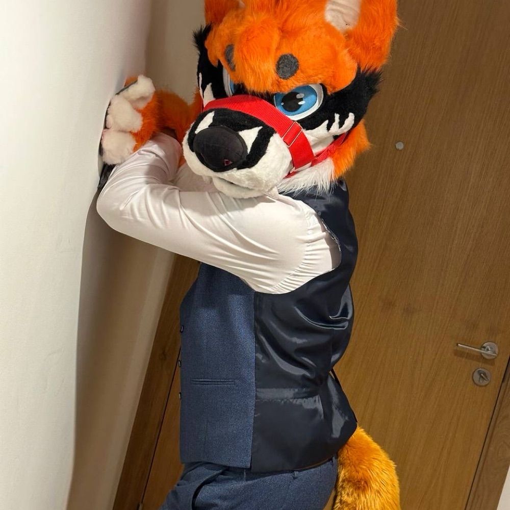 RukiFox/SoloAWD