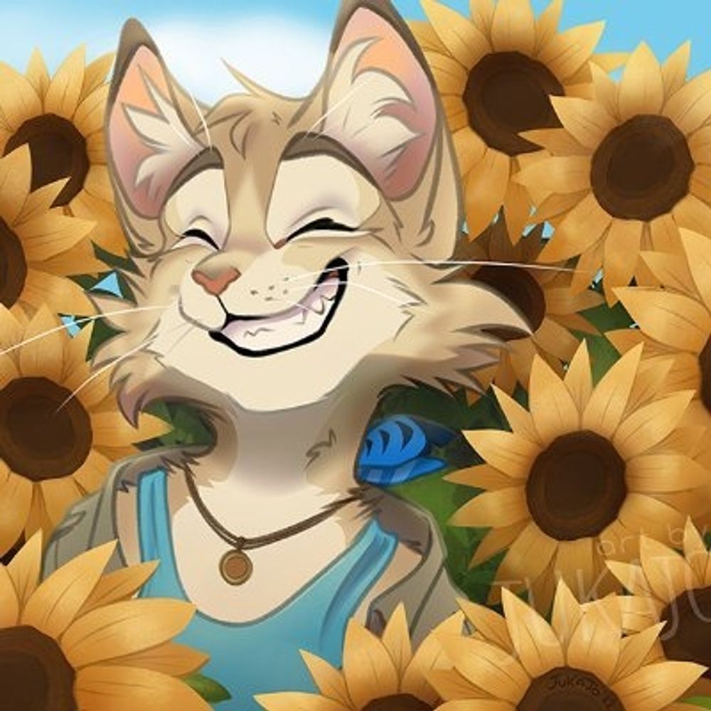 Jukajo 🌻 🔜 EF DD B2/008