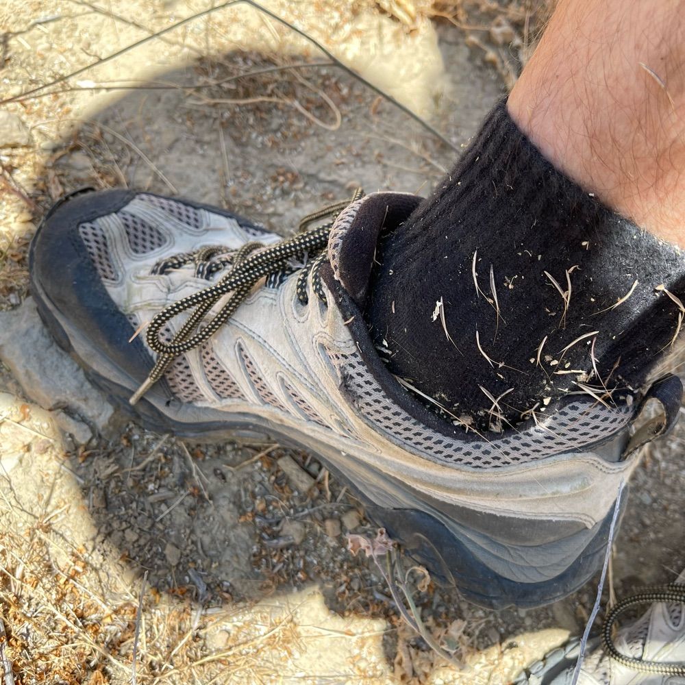 Side Quest Hiker