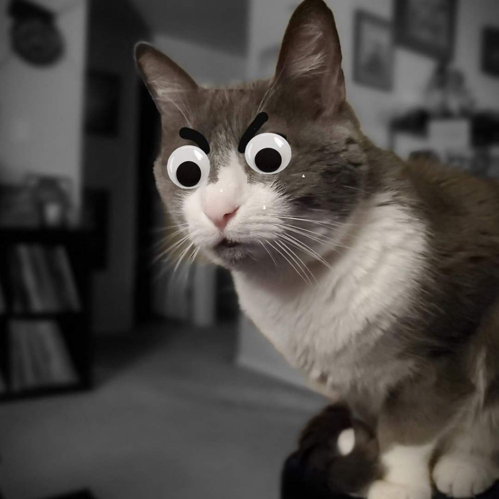 Cat G