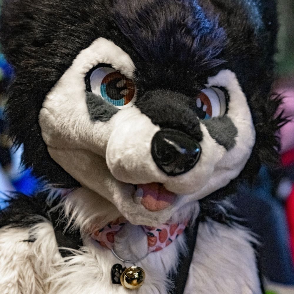 Lokapper Husky